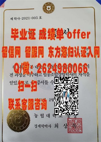 《利莫瑞克理工学院文凭：开启你的全球教育之旅》