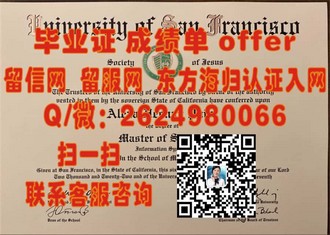 《意大利比萨大学文凭：开启学术殿堂的黄金钥匙》