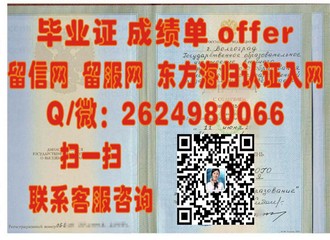 《都柏林理工学院文凭：开启国际认可的学术大门》