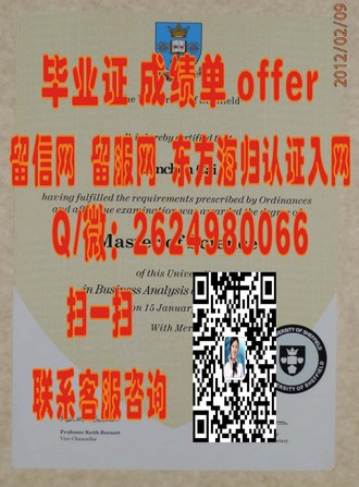 《利默里克大学文凭：开启你未来职场大门的黄金钥匙》
