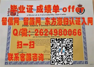 《南洋理工学院文凭：学历背后的全球视野与未来竞争力解析》
