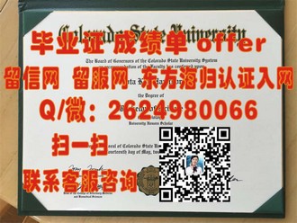 《巴斯大学文凭：开启职业生涯的敲门砖，成就非凡人生》