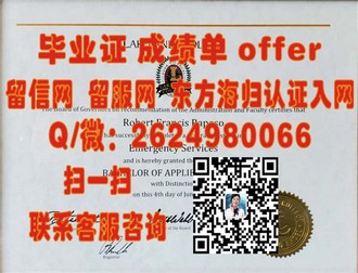 《揭秘伦敦学院文凭：顶尖教育背后的精英培养之路》