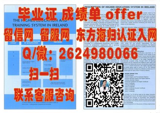 《斯旺西大学文凭：开启你的国际学术之旅，成就你的未来辉煌》