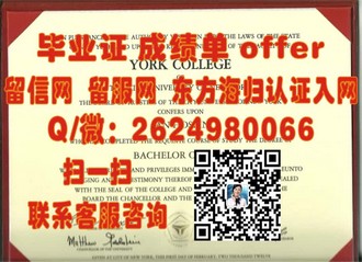 《布莱顿大学文凭：揭秘这所英国名校的学术荣耀与就业前景》