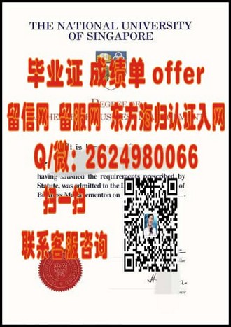 《怀卡托理工学院文凭：开启你职业生涯的黄金钥匙》