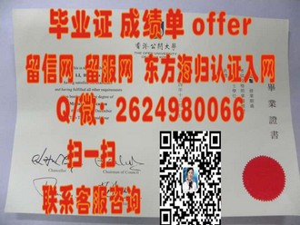 《梅西大学文凭：开启你的国际教育之旅，成就非凡人生》