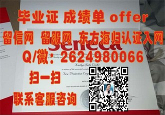 《都柏林大学圣三一学院文凭：开启国际学术新篇章的黄金钥匙》