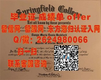 利莫瑞克理工学院文凭：开启全球就业新门户的通行证