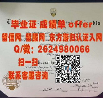 《约克大学文凭：开启国际视野，成就未来精英的黄金钥匙》