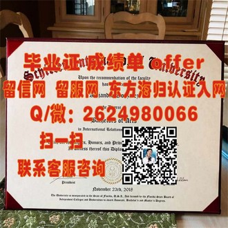 《阿伯泰邓迪大学文凭：开启你电影视觉革命的通行证》