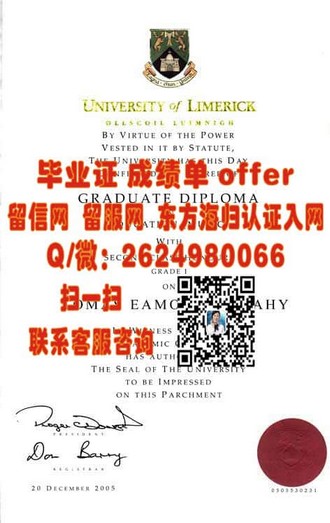 《斯旺西大学文凭：成就未来，开启无限可能》