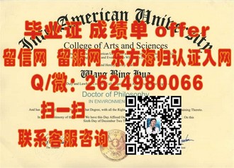 马努考理工学院文凭：解锁国际认可的学术成就之路