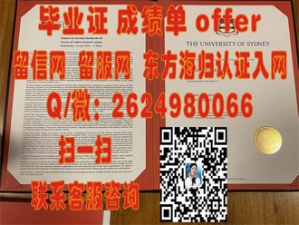 智利大学文凭：全球认可的学术成就与就业优势揭秘