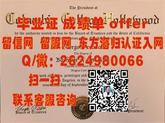 《曼彻斯特城市大学文凭：成就未来职场精英的黄金钥匙》