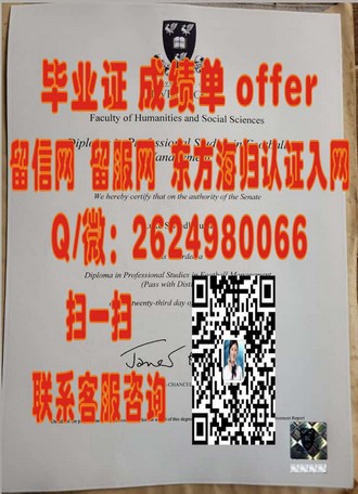 《布莱顿大学文凭：揭秘这所名校的学术魅力与就业前景》