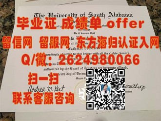 《奥塔哥理工学院文凭：解锁新西兰教育品质的通行证》