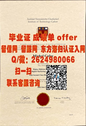 《惠灵顿理工学院文凭：开启国际职场大门的黄金钥匙》