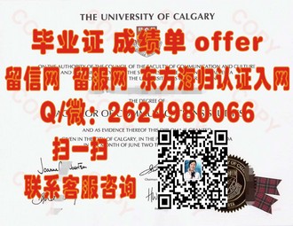 惠灵顿维多利亚大学文凭：揭开全球认可的学术荣耀背后的秘密