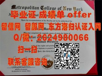 《莱佛士国际设计学院文凭：开启视觉革命，打造设计界明日之星的密钥》