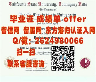 《利默里克大学文凭：开启国际教育新篇章的黄金钥匙》