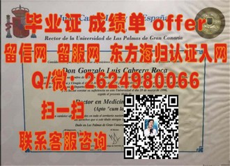 《伦敦吉尔德霍尔大学文凭：揭秘该校毕业生在艺术领域的卓越成就》