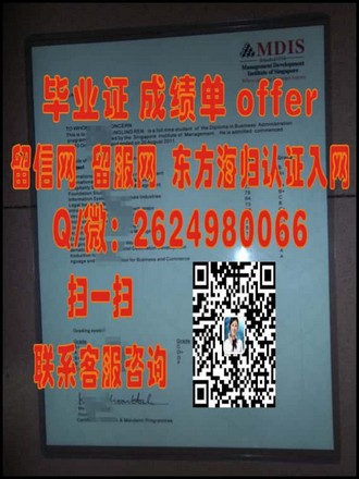 《新加坡管理发展学院文凭：开启国际职场新篇章的秘密武器》