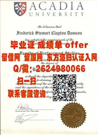 《阿比蒂彼特米斯卡学校文凭：揭秘世界顶尖学府的精英培养之路》