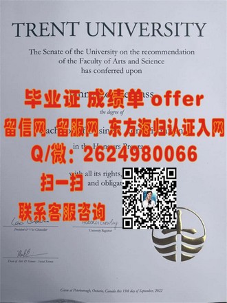 《马来西亚国民大学文凭：揭秘世界一流学府的学术荣耀与就业前景》
