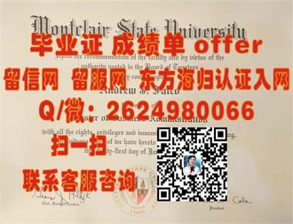 《梅努斯大学文凭：揭秘全球顶尖学府的精英培养之路》