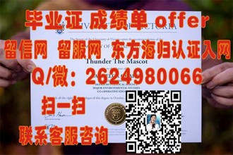 《克兰菲尔德大学文凭：开启你的全球精英之路》