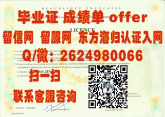 金斯顿大学文凭：揭秘学历背后的艺术与学术融合之旅
