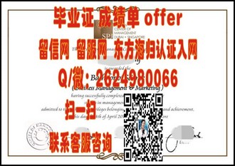 《伦敦南岸大学文凭：开启你的全球高等教育之旅》