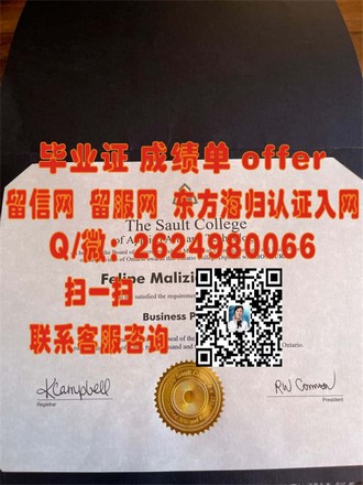 《奥塔哥大学文凭：开启全球职场新篇章，你的国际通行证！》