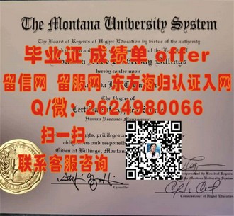 《圣玛丽大学文凭：开启您未来职业发展的大门，成就非凡人生》