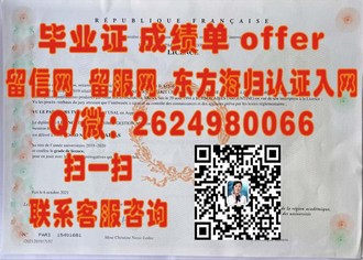 《格里菲斯大学文凭：开启你的影视艺术之路，成就你的视觉革命传奇》