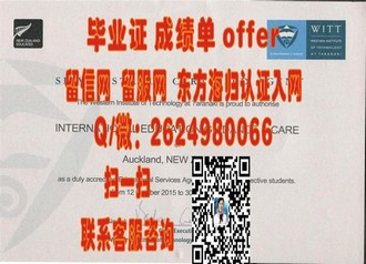 苏塞克斯大学文凭：开启学术与职业发展的国际通行证